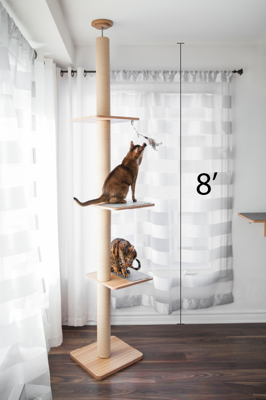 Katt3EVO_Tower_8pied.png
